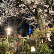 ヒメ日記 2025/04/04 23:34 投稿 高代景子 プレジデントクラブ