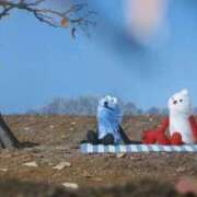 ヒメ日記 2026/03/31 22:21 投稿 かおる X-PARTY