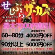 ヒメ日記 2024/05/30 11:10 投稿 天性のやわらかさ『りま』 川崎No1ソープ CECIL PLUS