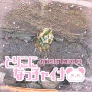 ヒメ日記 2025/07/15 15:34 投稿 天性のやわらかさ『りま』 ESSENCE