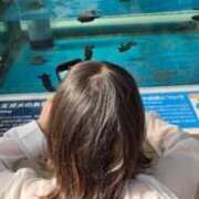 ヒメ日記 2025/09/29 20:42 投稿 天性のやわらかさ『りま』 ESSENCE