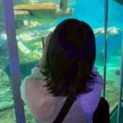 ヒメ日記 2025/10/01 22:20 投稿 天性のやわらかさ『りま』 ESSENCE