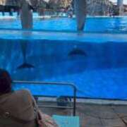 ヒメ日記 2025/10/03 13:45 投稿 天性のやわらかさ『りま』 ESSENCE