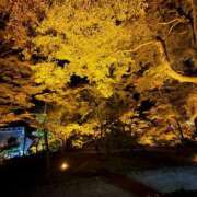 ヒメ日記 2025/11/03 19:48 投稿 天性のやわらかさ『りま』 ESSENCE