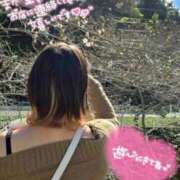 ヒメ日記 2025/11/08 13:30 投稿 天性のやわらかさ『りま』 ESSENCE