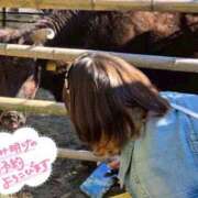 ヒメ日記 2025/11/18 22:42 投稿 天性のやわらかさ『りま』 ESSENCE