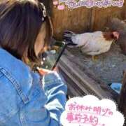 ヒメ日記 2025/11/19 21:32 投稿 天性のやわらかさ『りま』 ESSENCE