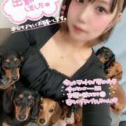 ヒメ日記 2025/11/24 12:05 投稿 天性のやわらかさ『りま』 ESSENCE