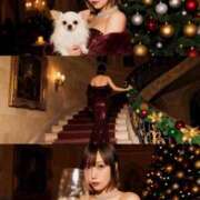 ヒメ日記 2025/12/01 12:14 投稿 天性のやわらかさ『りま』 ESSENCE