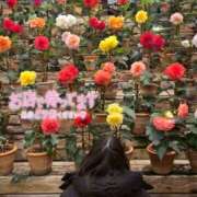 ヒメ日記 2026/02/01 13:00 投稿 天性のやわらかさ『りま』 ESSENCE