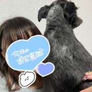 ヒメ日記 2026/02/16 19:47 投稿 天性のやわらかさ『りま』 ESSENCE