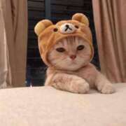 ヒメ日記 2024/12/07 17:20 投稿 りんか リアル 梅田店