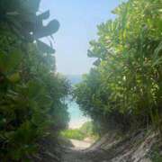 ヒメ日記 2025/04/20 12:01 投稿 クレハ ルパン