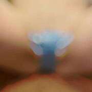 ヒメ日記 2025/07/17 15:01 投稿 クレハ ルパン