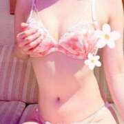 ヒメ日記 2025/10/27 07:30 投稿 クレハ ルパン