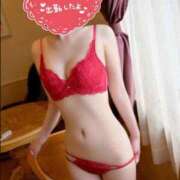 ヒメ日記 2026/02/10 06:00 投稿 クレハ ルパン