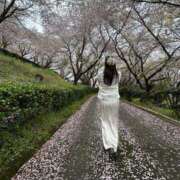 ヒメ日記 2026/04/13 10:06 投稿 クレハ ルパン