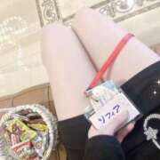 ヒメ日記 2025/04/24 11:13 投稿 ソフィア ビギナーズ神戸