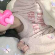 ソフィア おやすみなさい ビギナーズ神戸