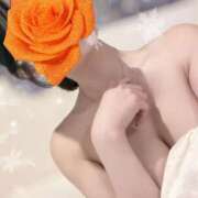 ソフィア 暖かくなってきたね ビギナーズ神戸