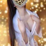 ソフィア 最近 ビギナーズ神戸