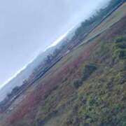 ヒメ日記 2025/03/13 21:12 投稿 きらり チューリップ福井本館