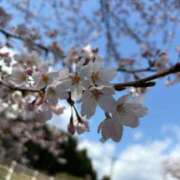 ヒメ日記 2025/04/12 18:08 投稿 新開 蓮 五十路マダム金沢店