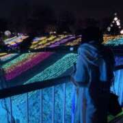 ヒメ日記 2025/12/21 14:50 投稿 るぅ 君とふわふわプリンセスin熊谷