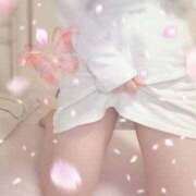 ヒメ日記 2025/09/14 01:25 投稿 かほの 東京メンズボディクリニック TMBC 渋谷店