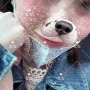 ヒメ日記 2025/05/31 13:50 投稿 なな My Essentials