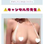 ヒメ日記 2025/04/22 09:11 投稿 あまね 天空のマット