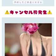 ヒメ日記 2025/05/03 12:32 投稿 あまね 天空のマット