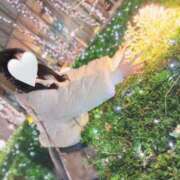 ヒメ日記 2025/01/04 21:58 投稿 成瀬 ゆいな YUDEN～油殿～堺東店