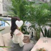 ヒメ日記 2025/02/11 07:00 投稿 成瀬 ゆいな YUDEN～油殿～堺東店