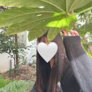 ヒメ日記 2025/02/11 14:54 投稿 成瀬 ゆいな YUDEN～油殿～堺東店