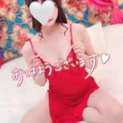 ヒメ日記 2025/03/01 07:43 投稿 成瀬 ゆいな YUDEN～油殿～堺東店