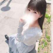 ヒメ日記 2025/04/06 12:16 投稿 成瀬 ゆいな YUDEN～油殿～堺東店