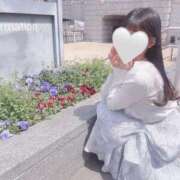 ヒメ日記 2025/04/08 11:02 投稿 成瀬 ゆいな YUDEN～油殿～堺東店