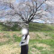 ヒメ日記 2025/04/09 08:00 投稿 成瀬 ゆいな YUDEN～油殿～堺東店