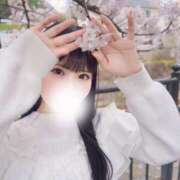 ヒメ日記 2025/04/11 19:03 投稿 成瀬 ゆいな YUDEN～油殿～堺東店