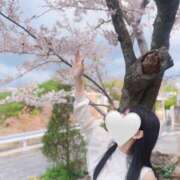 ヒメ日記 2025/04/12 10:45 投稿 成瀬 ゆいな YUDEN～油殿～堺東店