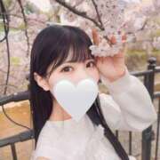 ヒメ日記 2025/04/16 06:45 投稿 成瀬 ゆいな YUDEN～油殿～堺東店