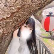 ヒメ日記 2025/04/16 18:18 投稿 成瀬 ゆいな YUDEN～油殿～堺東店