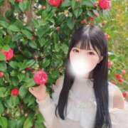 ヒメ日記 2025/04/16 21:26 投稿 成瀬 ゆいな YUDEN～油殿～堺東店