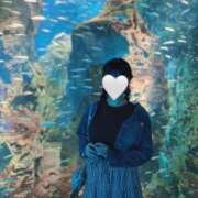 ヒメ日記 2025/04/21 18:50 投稿 成瀬 ゆいな YUDEN～油殿～堺東店