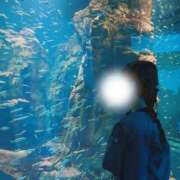 ヒメ日記 2025/04/27 12:29 投稿 成瀬 ゆいな YUDEN～油殿～堺東店