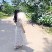 ヒメ日記 2025/06/22 16:21 投稿 成瀬 ゆいな YUDEN～油殿～堺東店