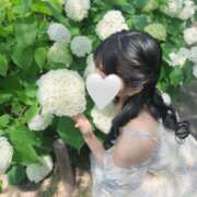 ヒメ日記 2025/07/04 08:00 投稿 成瀬 ゆいな YUDEN～油殿～堺東店