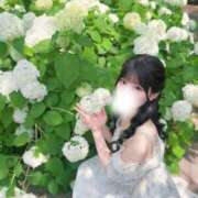 ヒメ日記 2025/07/12 19:44 投稿 成瀬 ゆいな YUDEN～油殿～堺東店