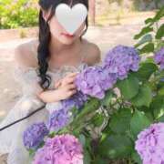 ヒメ日記 2025/07/17 11:30 投稿 成瀬 ゆいな YUDEN～油殿～堺東店